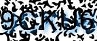 grafischer Sicherheitscode