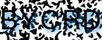 grafischer Sicherheitscode