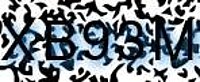 grafischer Sicherheitscode
